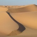 mauritanie_avril_2007_244.jpg