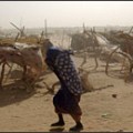 tchad.jpg