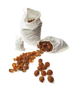 Noix de lavage présentée dans son sac