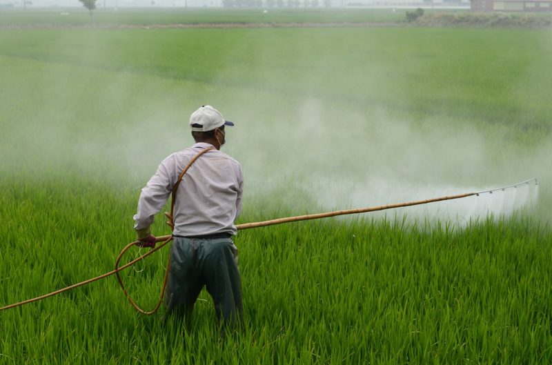 Toxine alimentaire