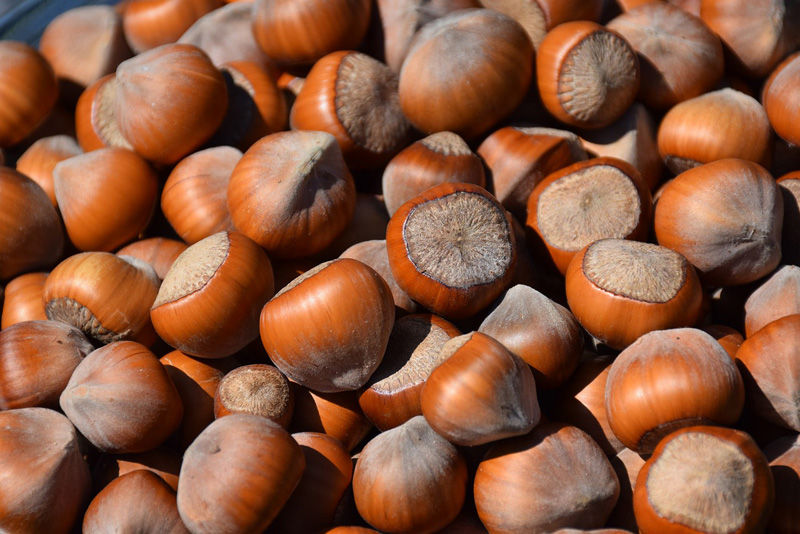 Recette au Soyabella
