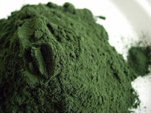 La poudre de Spiruline est une excellent complément alimentaire Poudre de Spiruline