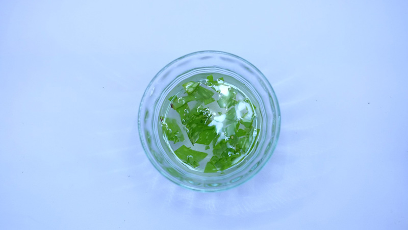 Aloe Vera en interne