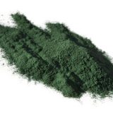 La spiruline en poudre