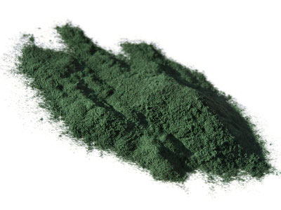 La spiruline en poudre