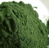 Spiruline en poudre en vente chez Bien et Bio