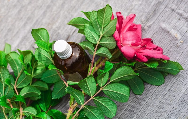 huiles essentielles biologiques