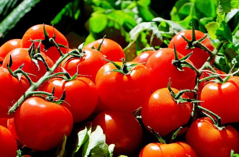 tomate biologique