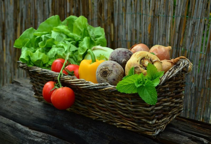 Aliments crus du régime Seignalet 
