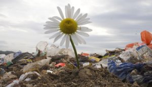 pollution de la terre