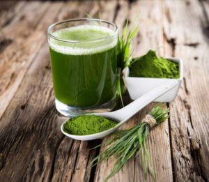 spiruline bio