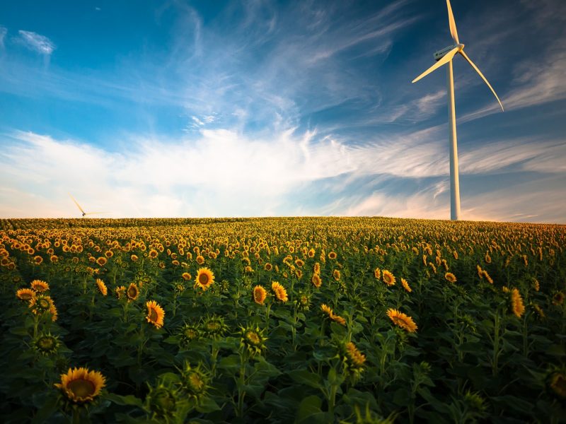 sensibiliser les jeunes aux économies d’énergies