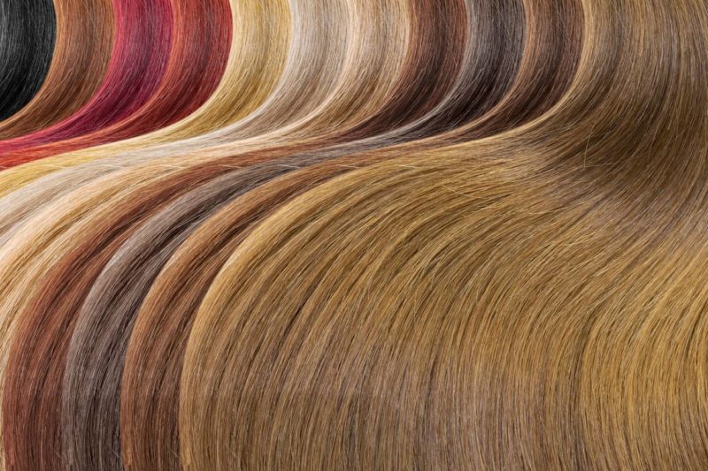 coloration naturelle par les plantes