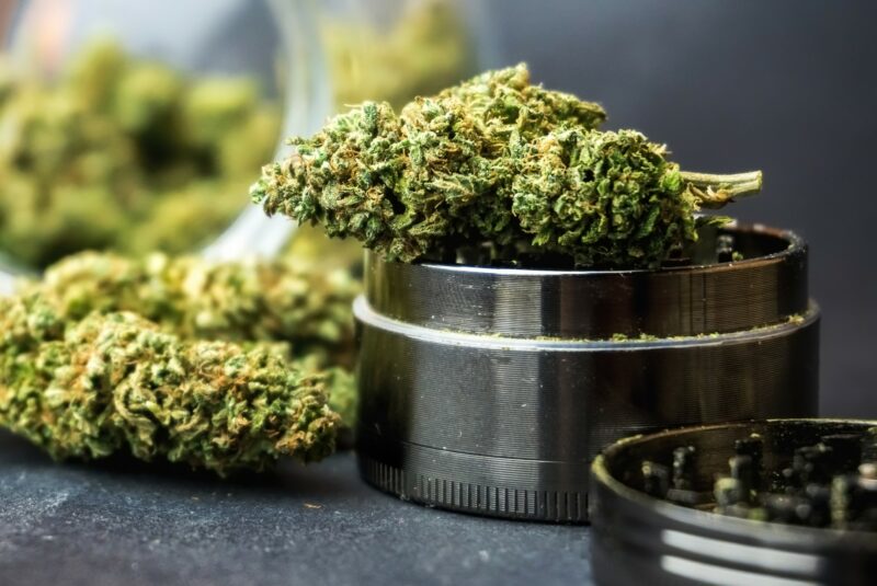CBD bio