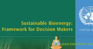 Bioenergy ONU
