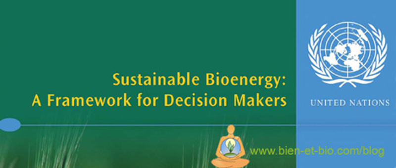 Bioenergy ONU