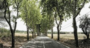 Emission de CO2 en voiture