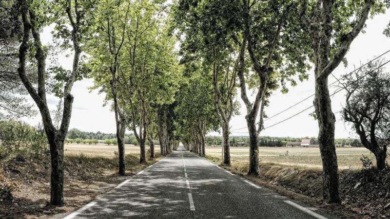 Emission de CO2 en voiture