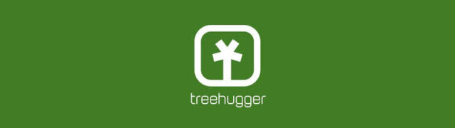 TreeHugger