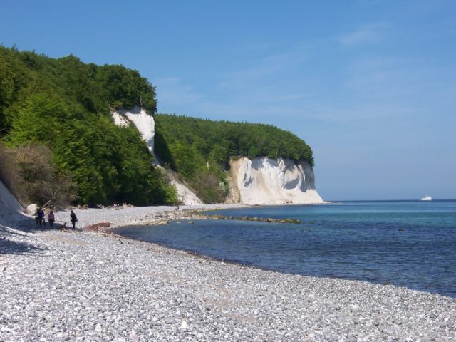 Ambre de la mer baltique