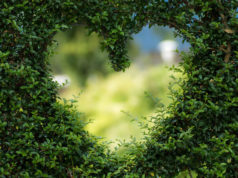 Cadeaux naturels pour la Saint Valentin