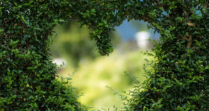 Cadeaux naturels pour la Saint Valentin