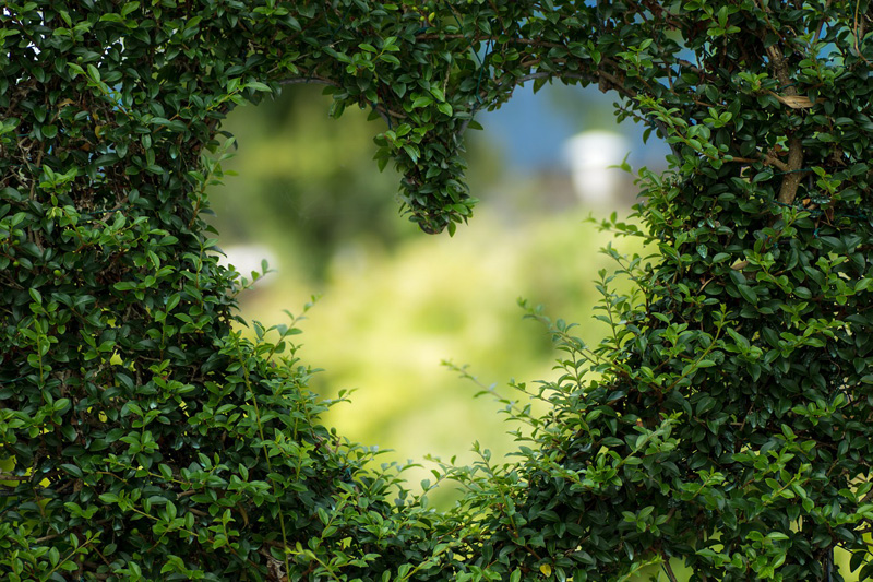 Cadeaux naturels pour la Saint Valentin