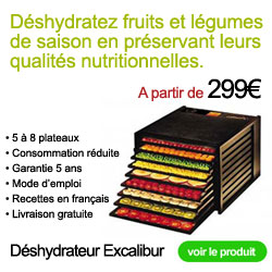 Deshydrateur alimentaire