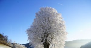 Couette pour l'hiver