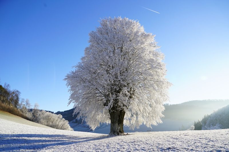 Couette pour l'hiver