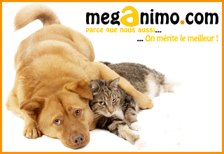 Méganimo, le bio pour chiens et chats