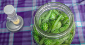 Conserver avec la lacto-fermentation