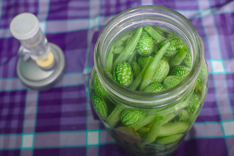 Conserver avec la lacto-fermentation