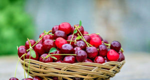 Conservation des cerises