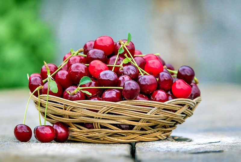 Conservation des cerises