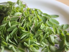 Bienfaits du moringa