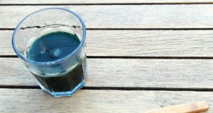 Algues Spiruline