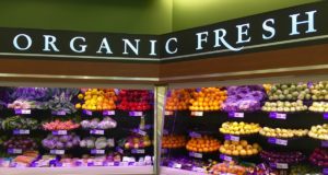 Alimentation bio