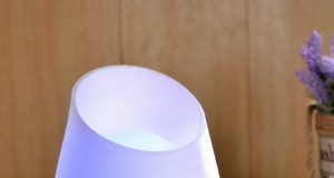 Brumisateur diffuseur huiles essentielles Mylo