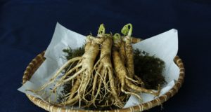 ginseng rouge