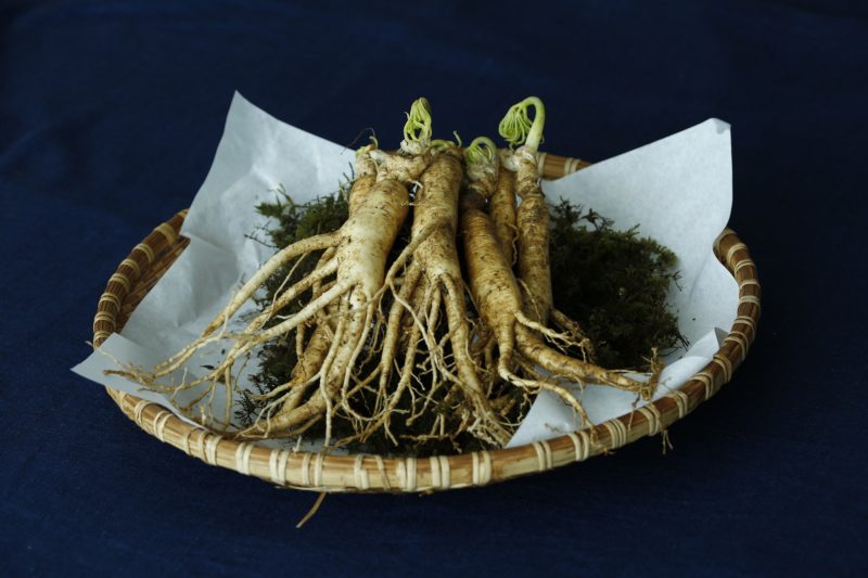 ginseng rouge