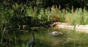 Soigner sa maison avec la géobiologie