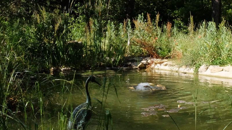 Soigner sa maison avec la géobiologie