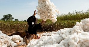 Coton équitable