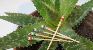 Cure-oreille biologique en bois