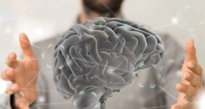 La neuroscience