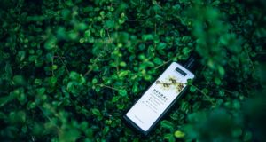 Shampoing bio