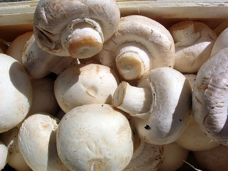 consommer des champignons