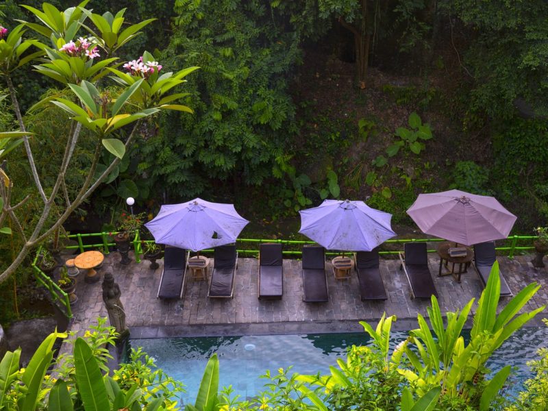 avantages de la piscine naturelle