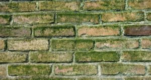 raisons d'un problème d'humidité